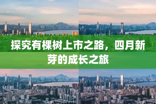探究有棵樹上市之路，四月新芽的成長之旅