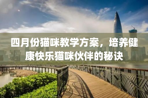 四月份貓咪教學(xué)方案，培養(yǎng)健康快樂貓咪伙伴的秘訣