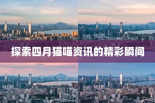 探索四月貓喵資訊的精彩瞬間