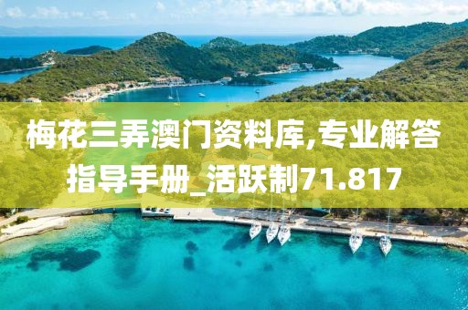 梅花三弄澳門資料庫,專業解答指導手冊_活躍制71.817