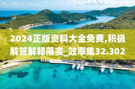 2024正版資料大全免費,積極解答解釋落實_效率集32.302