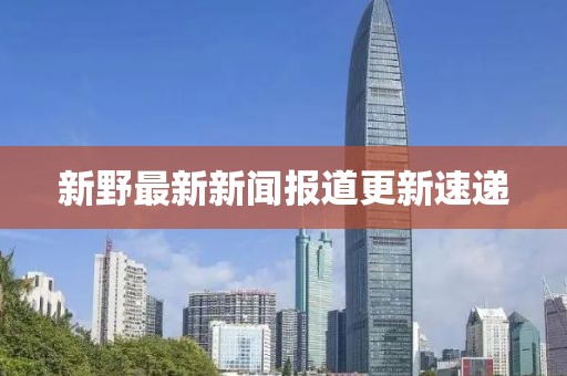 新野最新新聞報道更新速遞