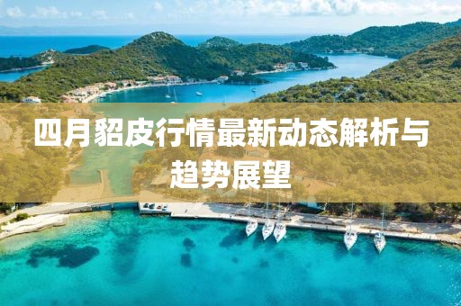 四月貂皮行情最新動(dòng)態(tài)解析與趨勢(shì)展望