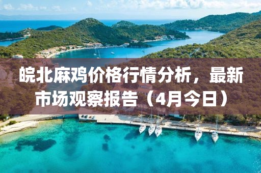 皖北麻雞價格行情分析，最新市場觀察報告（4月今日）