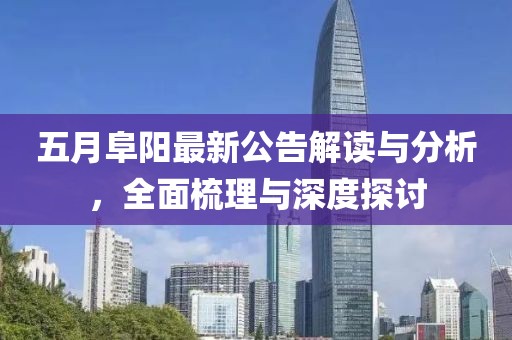 五月阜陽最新公告解讀與分析，全面梳理與深度探討