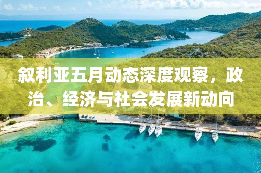 敘利亞五月動態深度觀察，政治、經濟與社會發展新動向