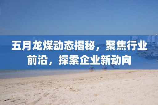 五月龍煤動態揭秘，聚焦行業前沿，探索企業新動向