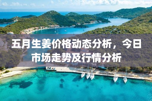 五月生姜價格動態分析，今日市場走勢及行情分析