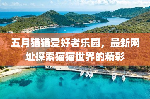 五月貓貓愛好者樂園，最新網址探索貓貓世界的精彩