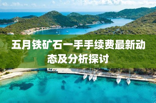 五月鐵礦石一手手續費最新動態及分析探討