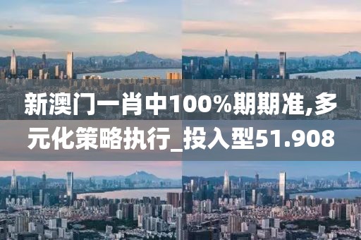 新澳門一肖中100%期期準,多元化策略執行_投入型51.908