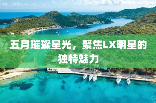 五月璀璨星光，聚焦LX明星的獨特魅力