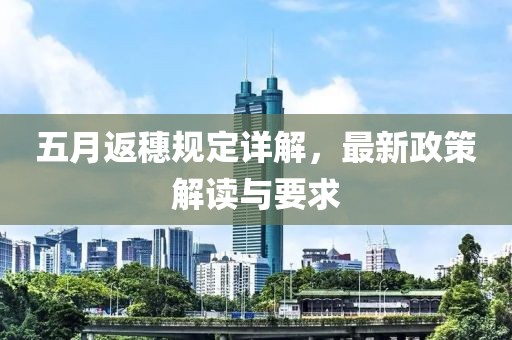 五月返穗規定詳解，最新政策解讀與要求