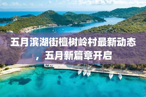 五月濱湖街檀樹嶺村最新動態，五月新篇章開啟