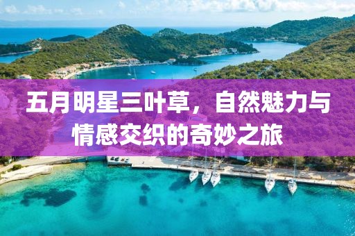 五月明星三葉草，自然魅力與情感交織的奇妙之旅