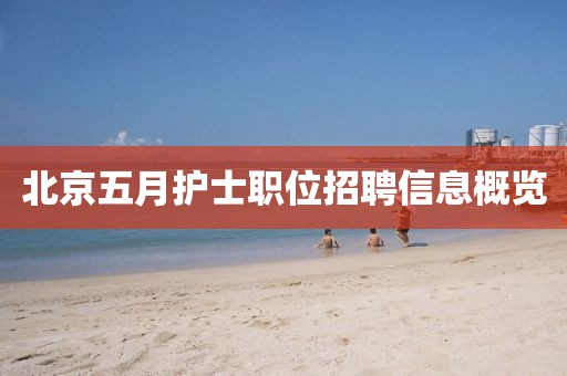 北京五月護士職位招聘信息概覽