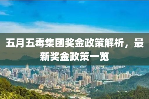 五月五毒集團獎金政策解析，最新獎金政策一覽
