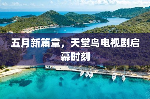 五月新篇章，天堂鳥電視劇啟幕時刻