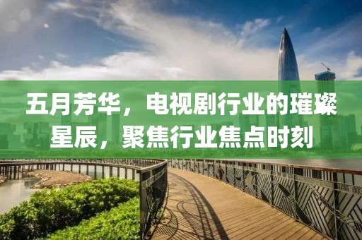 五月芳華，電視劇行業(yè)的璀璨星辰，聚焦行業(yè)焦點(diǎn)時(shí)刻