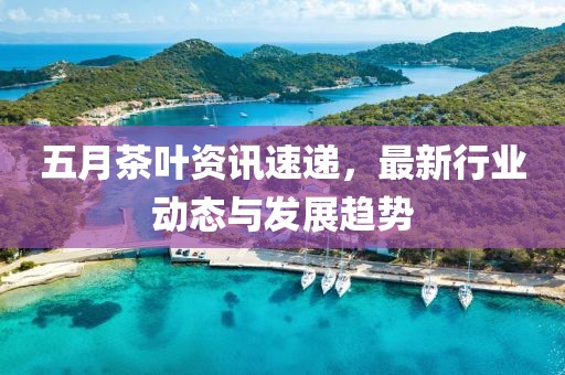 五月茶葉資訊速遞，最新行業動態與發展趨勢