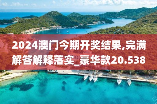 2024澳門今期開獎結果,完滿解答解釋落實_豪華款20.538