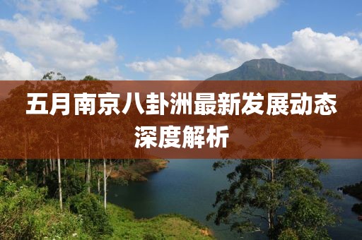 五月南京八卦洲最新發展動態深度解析