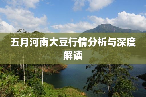 五月河南大豆行情分析與深度解讀