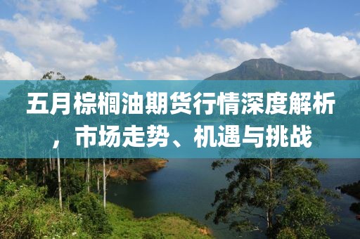 五月棕櫚油期貨行情深度解析，市場走勢(shì)、機(jī)遇與挑戰(zhàn)