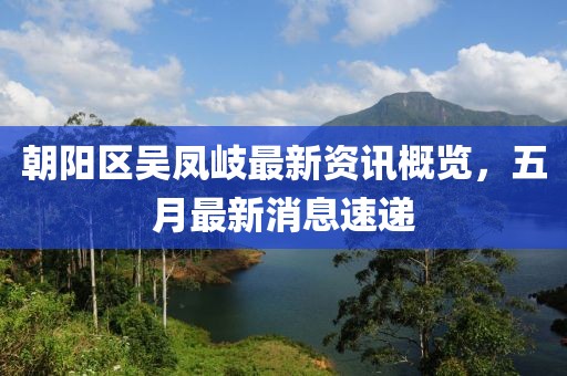 朝陽區吳鳳岐最新資訊概覽，五月最新消息速遞