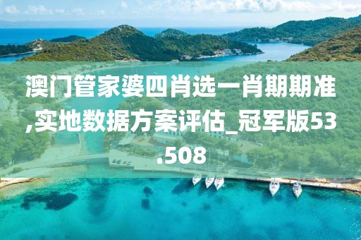 澳門(mén)管家婆四肖選一肖期期準(zhǔn),實(shí)地?cái)?shù)據(jù)方案評(píng)估_冠軍版53.508