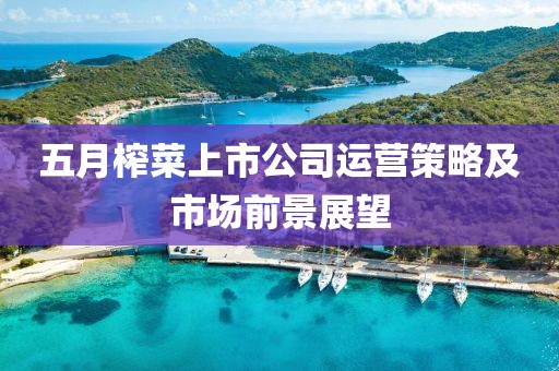 五月榨菜上市公司運營策略及市場前景展望