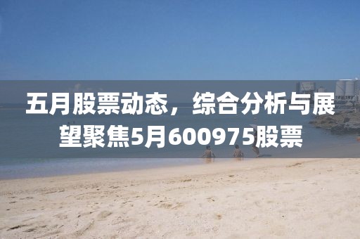 五月股票動態(tài)，綜合分析與展望聚焦5月600975股票
