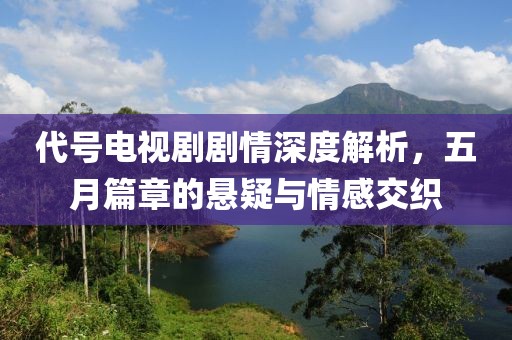 代號電視劇劇情深度解析，五月篇章的懸疑與情感交織