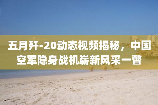 五月殲-20動態視頻揭秘，中國空軍隱身戰機嶄新風采一瞥