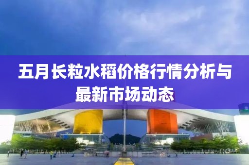 五月長粒水稻價格行情分析與最新市場動態(tài)