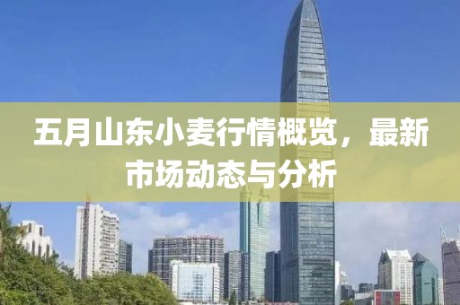 五月山東小麥行情概覽，最新市場動態(tài)與分析
