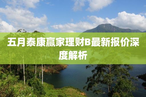 五月泰康贏家理財B最新報價深度解析