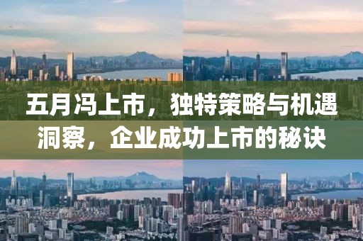 五月馮上市，獨特策略與機遇洞察，企業成功上市的秘訣