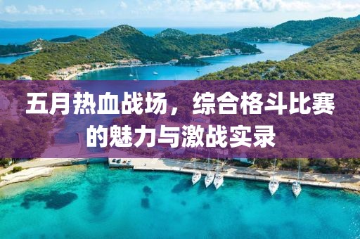 五月熱血戰(zhàn)場，綜合格斗比賽的魅力與激戰(zhàn)實錄