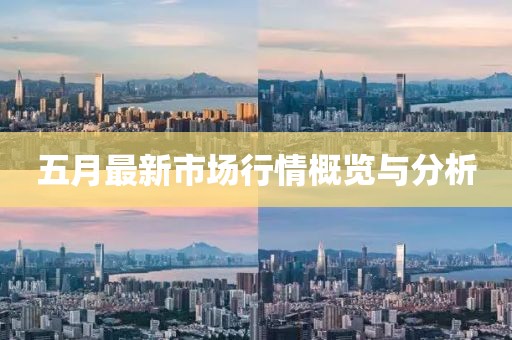 五月最新市場行情概覽與分析