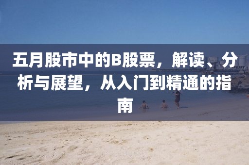 五月股市中的B股票，解讀、分析與展望，從入門到精通的指南