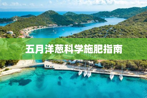 五月洋蔥科學(xué)施肥指南