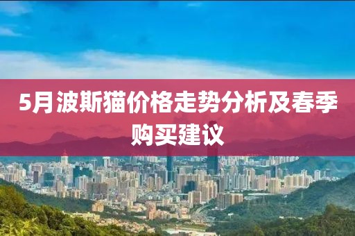 5月波斯貓價(jià)格走勢分析及春季購買建議