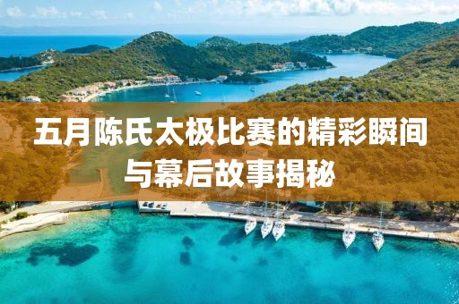 五月陳氏太極比賽的精彩瞬間與幕后故事揭秘