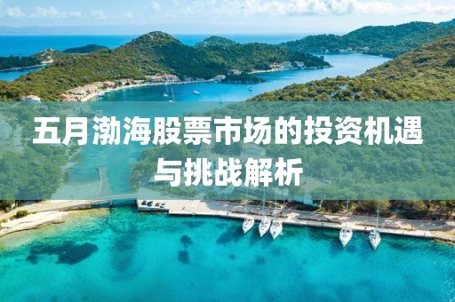 五月渤海股票市場的投資機(jī)遇與挑戰(zhàn)解析
