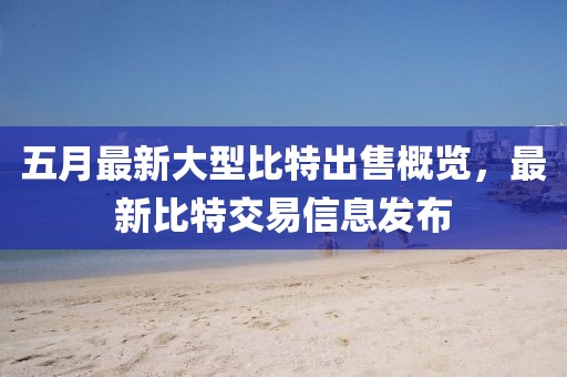 五月最新大型比特出售概覽，最新比特交易信息發(fā)布