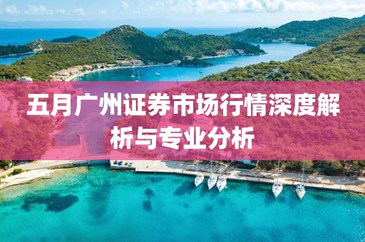 五月廣州證券市場行情深度解析與專業分析