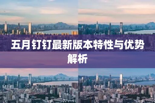 五月釘釘最新版本特性與優勢解析