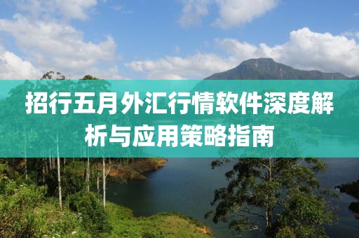 招行五月外匯行情軟件深度解析與應用策略指南