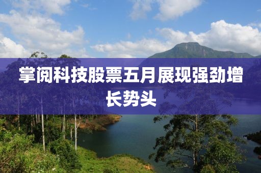 掌閱科技股票五月展現強勁增長勢頭